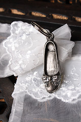 Image showing Silver Shoe