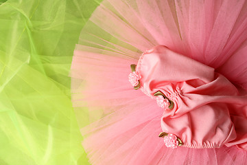 Image showing Ballet Costume