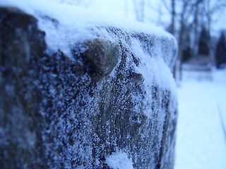 Image showing snow (macro)