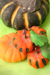 Image showing Halloween Pumpkins