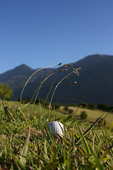 Image showing Golf Ball