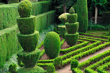 Image showing Decorative green park – Botanical garden Funchal, Madeira