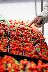 Image showing Buying strawberries