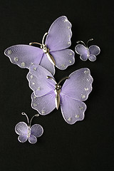 Image showing Purple Butterflies