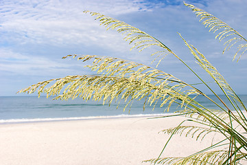 Image showing bonita beach in the morning