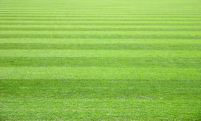 Image showing Grass Field