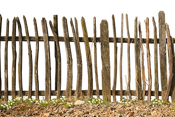 Image showing old and rough wooden fence