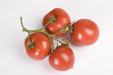 Image showing fresh red tomatoes branch