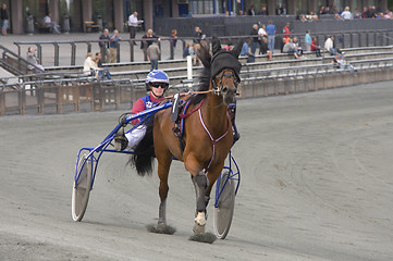 Image showing Trotting race