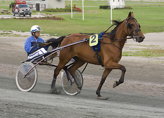 Image showing Trotting race