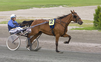 Image showing Trotting race