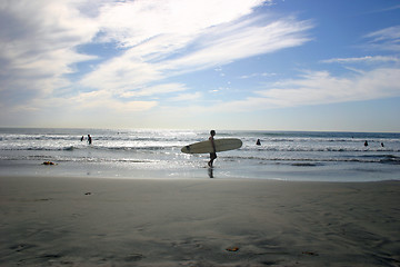 Image showing Beach Surfer