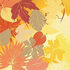 Image showing Autumn leaves background