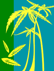 Image showing Palm trees illustration