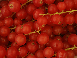 Image showing currant