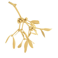 Image showing Golden Mistletoe