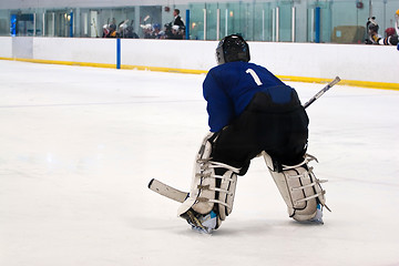 Image showing Hockey Goalie