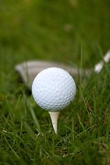 Image showing Golf Ball and Tee