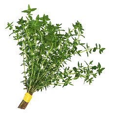 Image showing Thyme Herb Posy