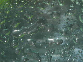 Image showing Abstraction. Water. Aquatic animals