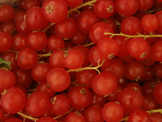 Image showing currant