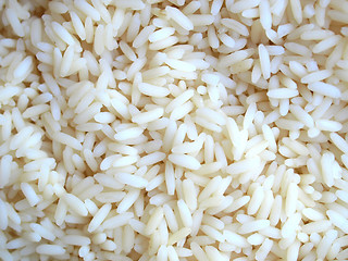 Image showing Rice