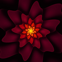 Image showing Flower pattern