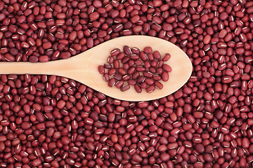 Image showing Aduki Beans