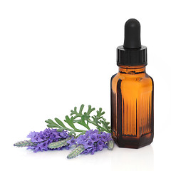 Image showing Lavender Herb Flower Therapy