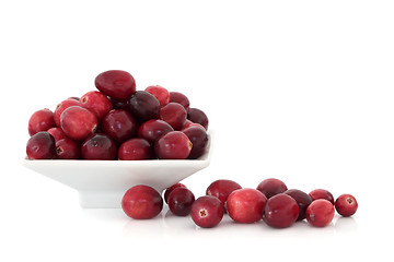 Image showing Cranberry Fruit