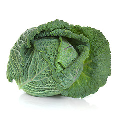 Image showing Savoy Cabbage