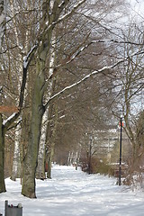 Image showing winter park