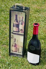 Image showing Vine box