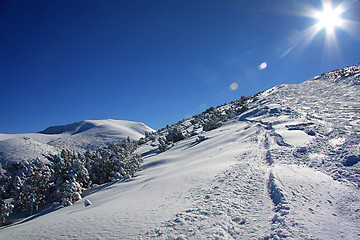 Image showing Shining sun in winter mountains