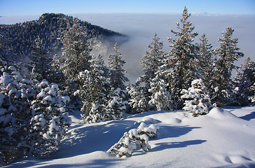 Image showing Winter Landscape