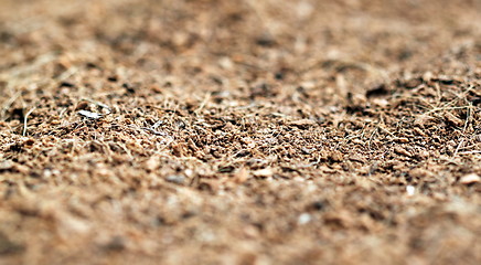Image showing mulch