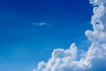 Image showing Beaytiful blue skies with white clouds