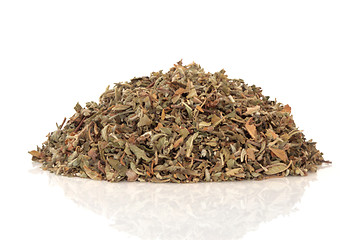 Image showing Damiana Aphrodisiac Herb 