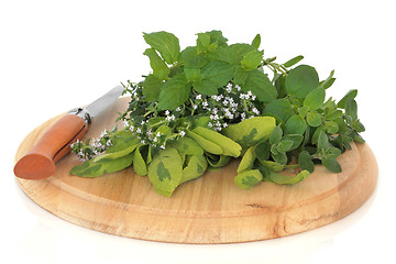 Image showing Fresh Herb Leaves