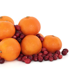 Image showing Tangerine and Cranberry Fruit