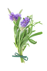 Image showing Lavender Herb Flower Posy