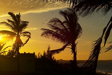 Image showing Golden sunset