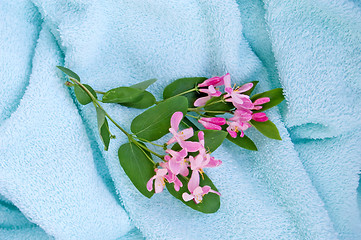 Image showing Blue towel_1