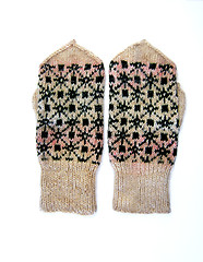 Image showing Gloves_5