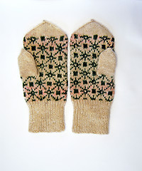 Image showing Gloves_6