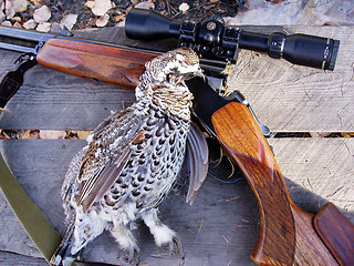 Image showing Hunting