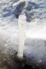 Image showing Ice stalagmite