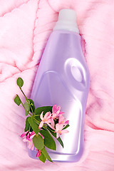 Image showing lavender rinse_1