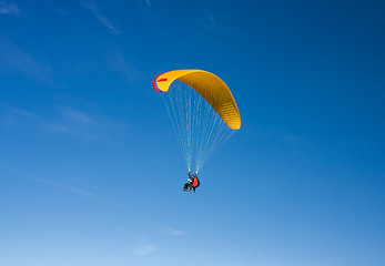 Image showing Paraglider