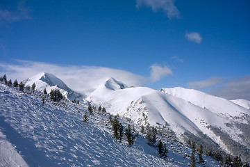 Image showing Alpine ski slope at winter Bulgaria